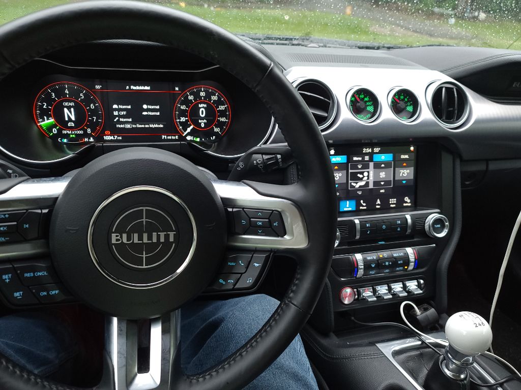 2019 Ford Mustang Bullitt - Photo 13
