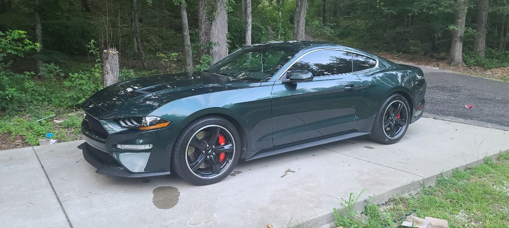2019 Ford Mustang Bullitt - Photo 6